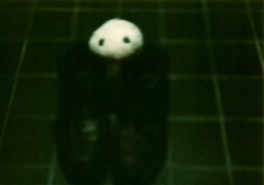 Rollei 35S 最初の一枚