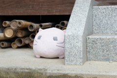 ももねこさま