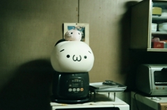 Rollei 35S 初めてピントがあった！