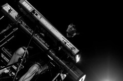 IMG_3448