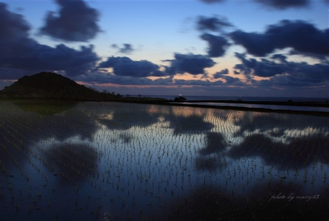夜の田園