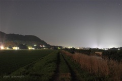 蛙の声