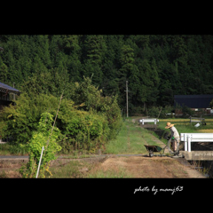 農作業