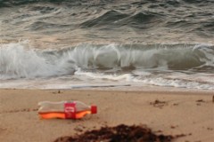 立秋の海