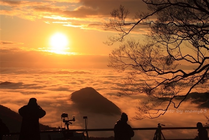 大江山の雲海