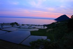 棚田の朝焼け