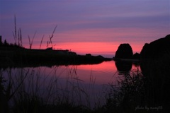 夕染まる河口