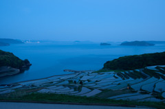 朝