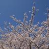 DSC02228a