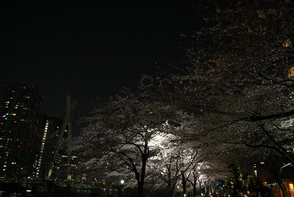 DSC02138a