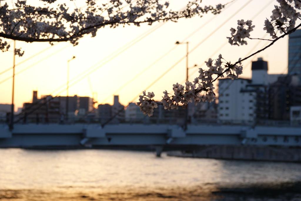 DSC02318a