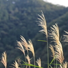 リズム