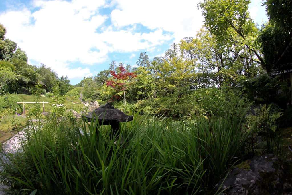 庭園