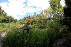 庭園