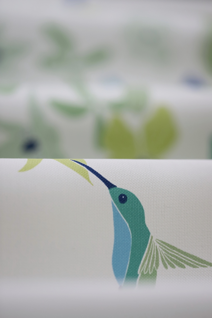 Hummingbird