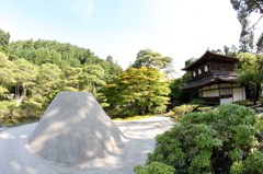 砂と