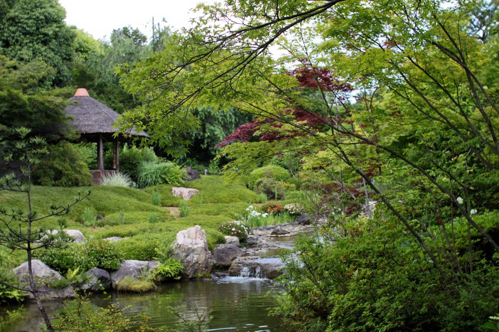 庭園②