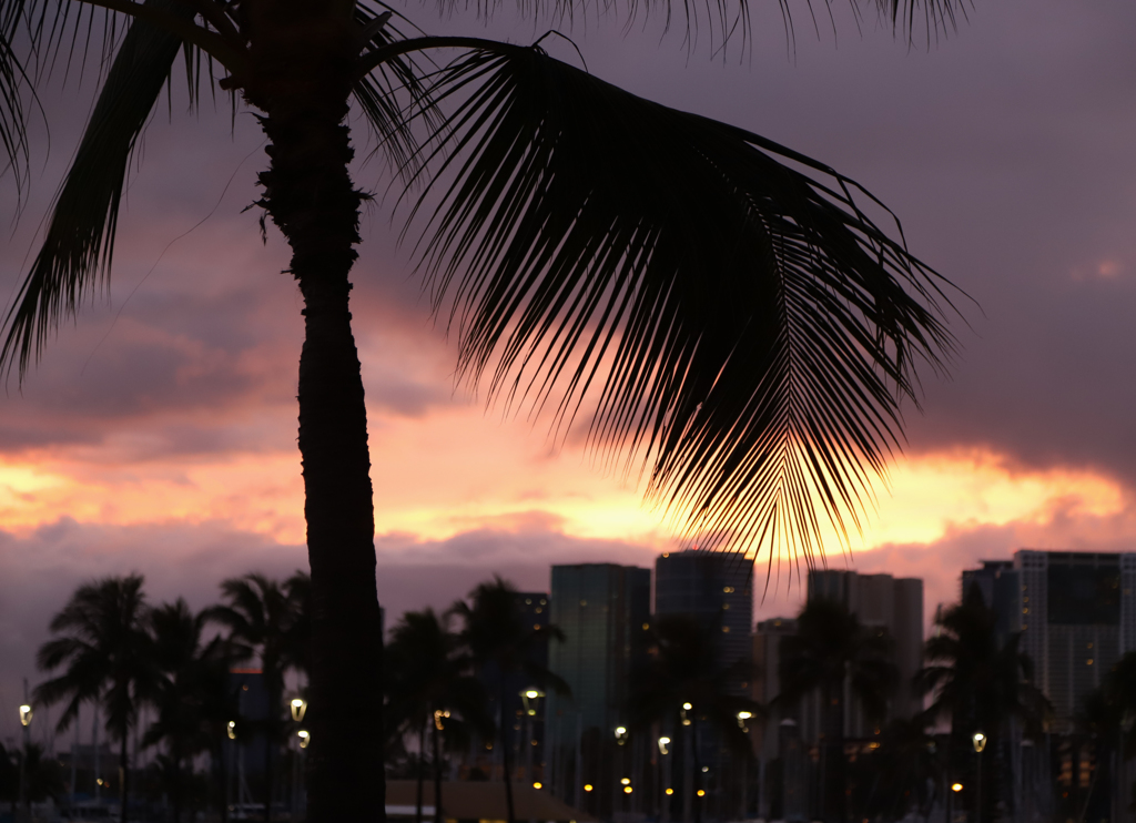 夕景_4