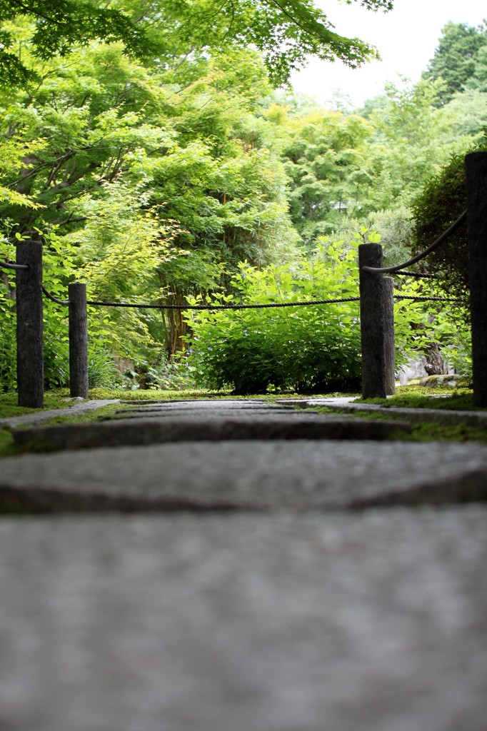 庭園を臨む・下から