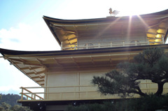 光芒と