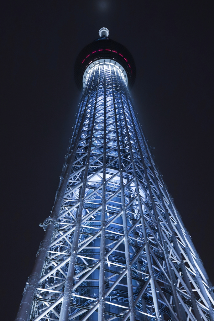 聳え立つ