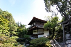 露出0