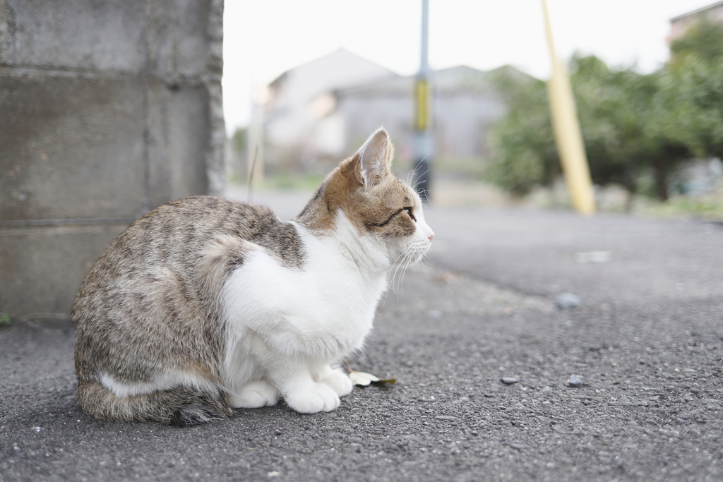 春の匂い、する？