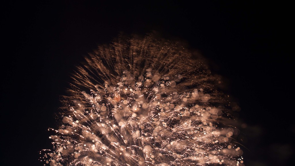 淀川花火大会変わり種写真２