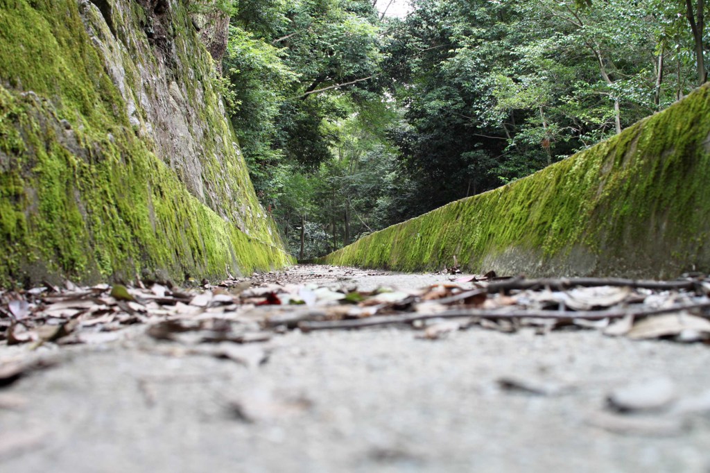 続く道を思って。