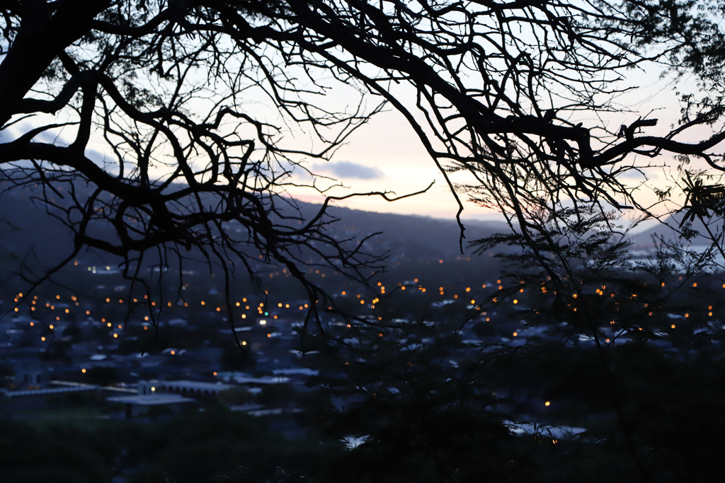 朝夜景