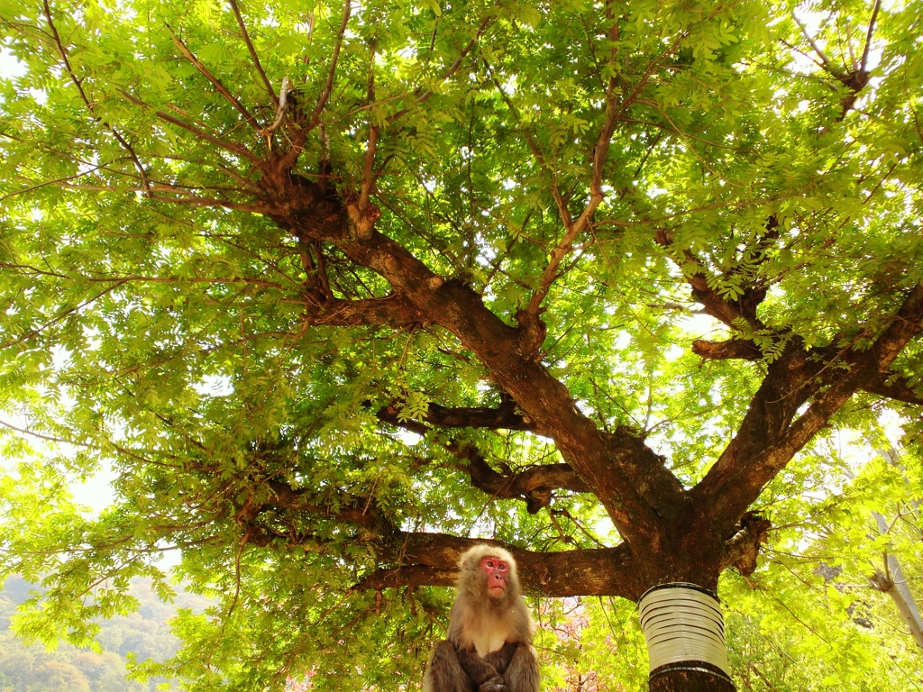P1000874