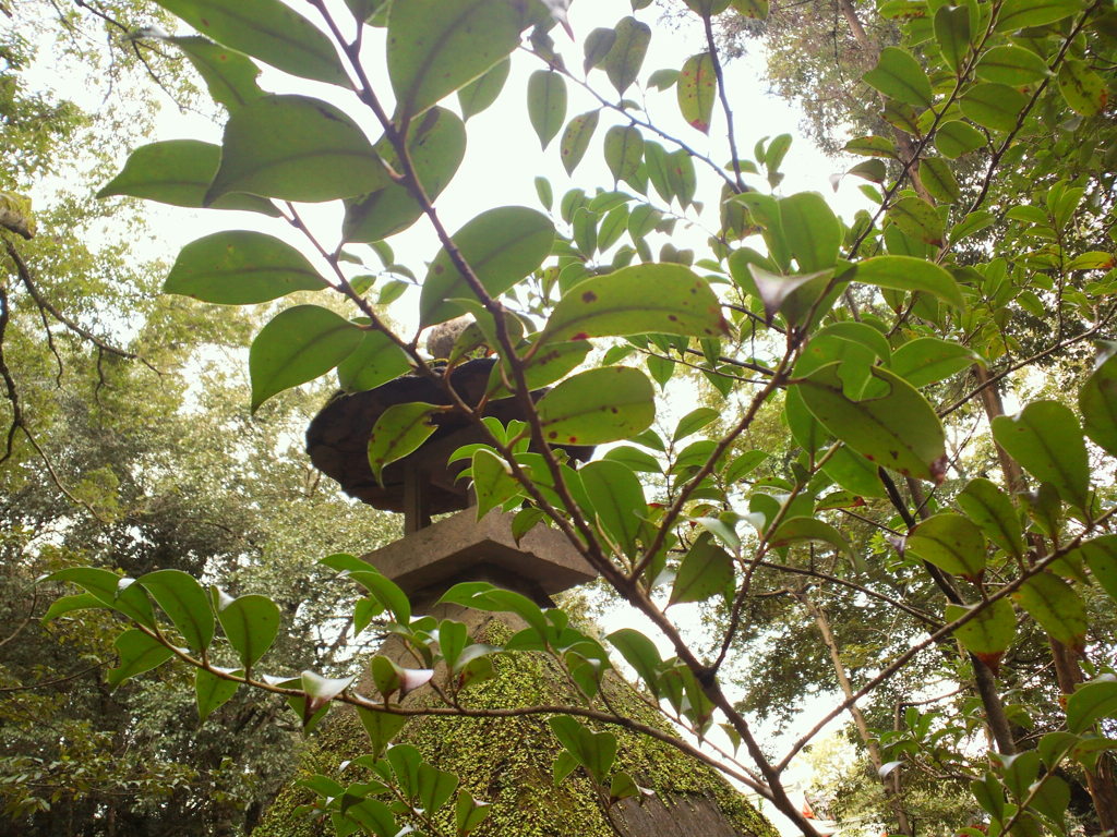 P1000518