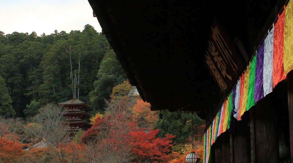 奈良長谷寺