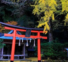 岩戸落葉神社