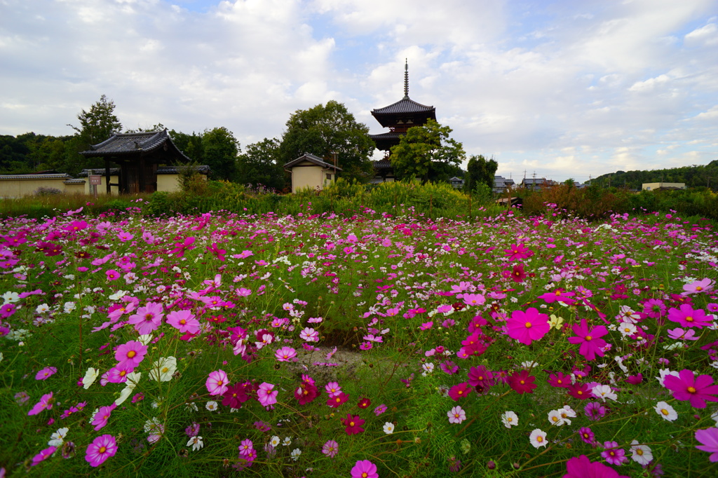 法起寺