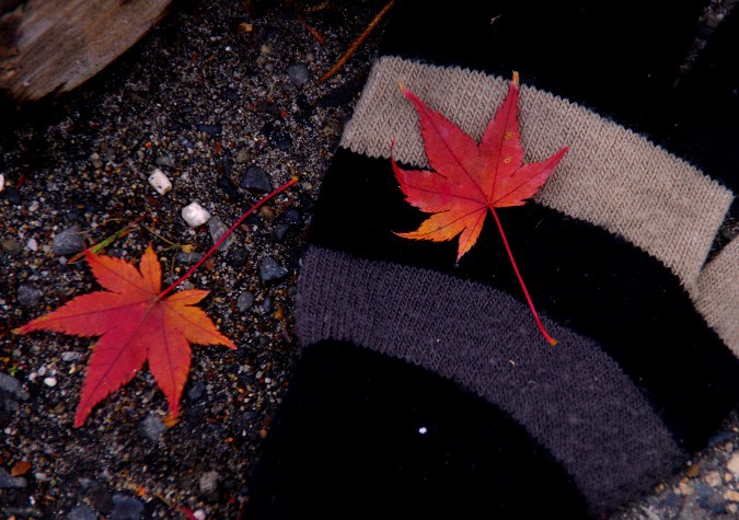 京都の紅葉