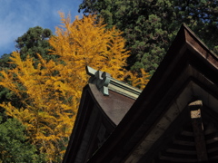 室生寺