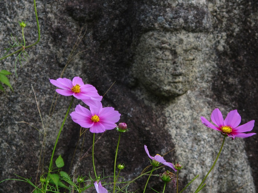 般若寺の仏像と秋桜