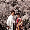高遠城址公園でのカップル