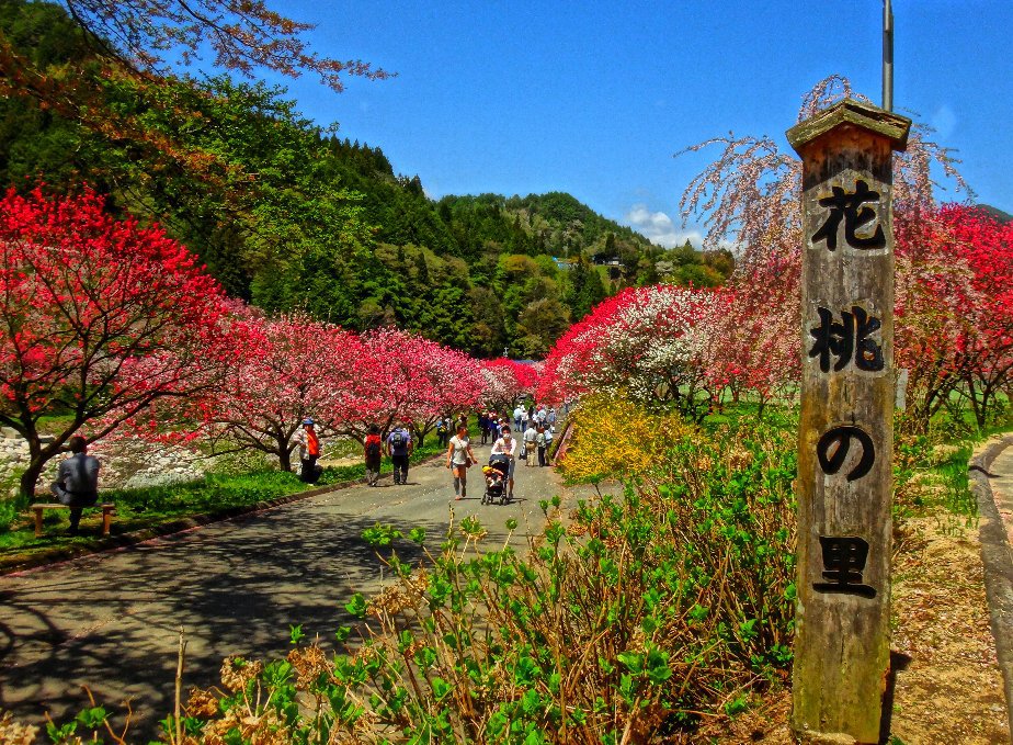 花桃の里