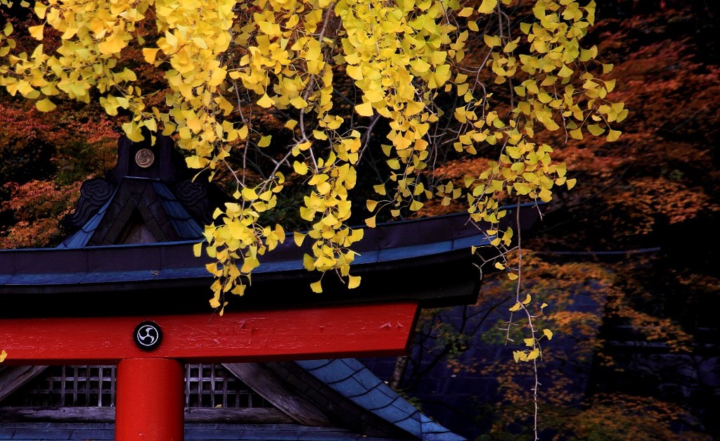 岩戸落葉神社