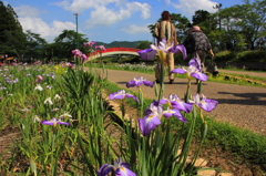 豊橋賀茂しょうぶ園