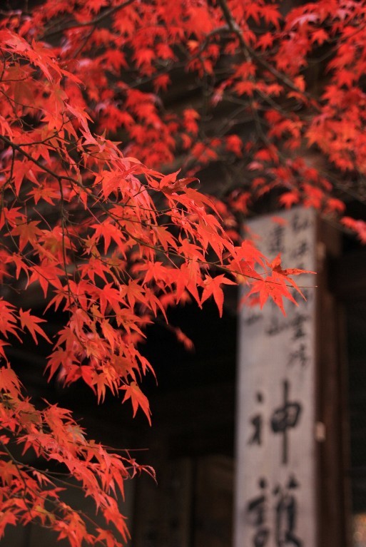 神護寺・山門