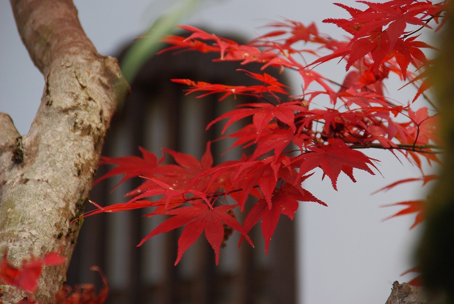 東福寺