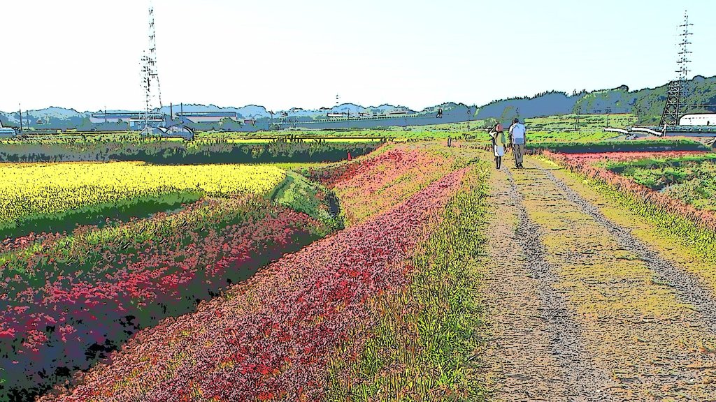 矢勝川堤の彼岸花