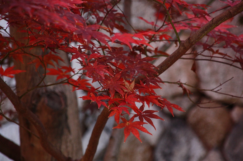 東福寺