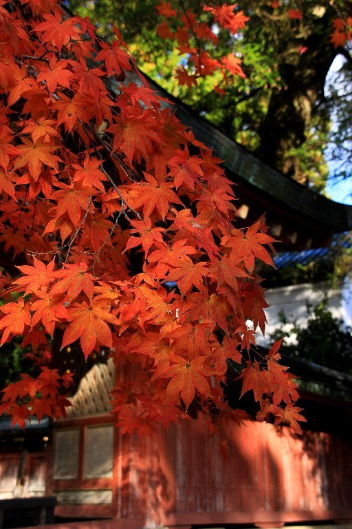 神護寺