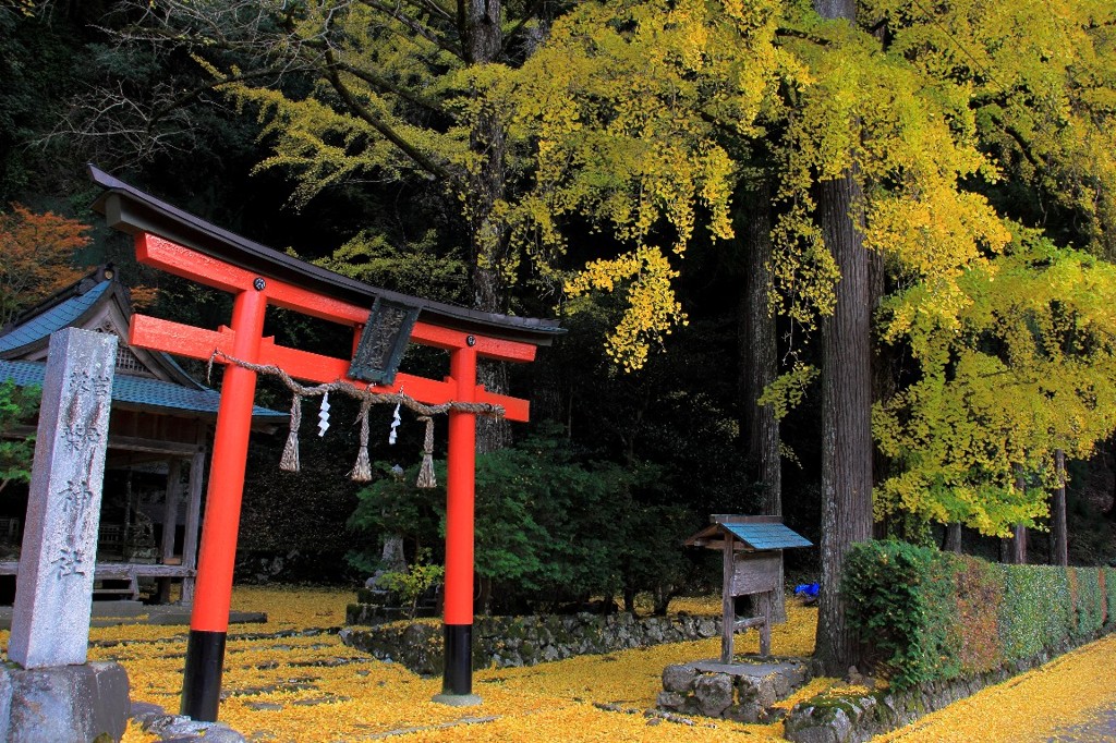 岩戸落葉神社