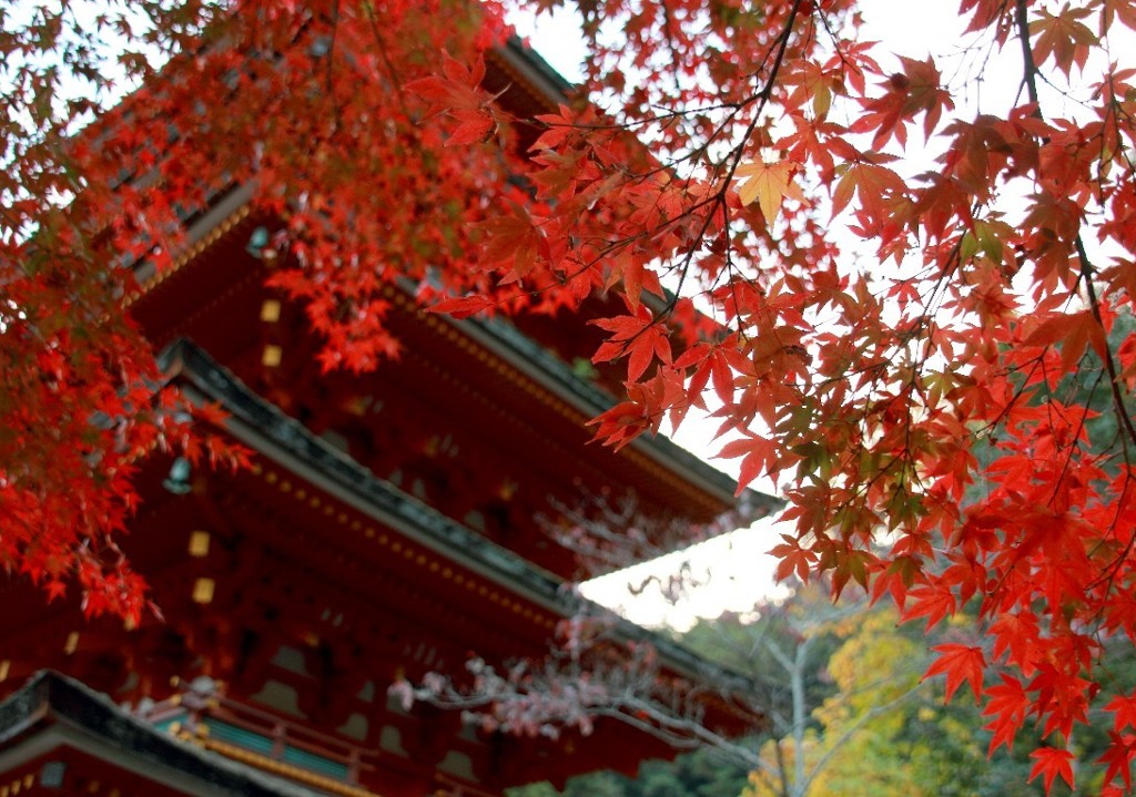 奈良長谷寺