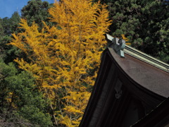 室生寺